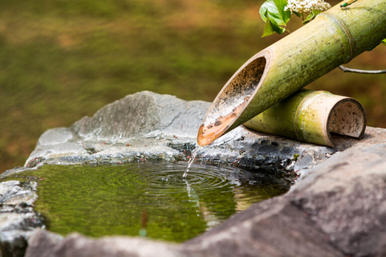 石の水鉢に竹の筧から水が落ちる坪庭のつくばい