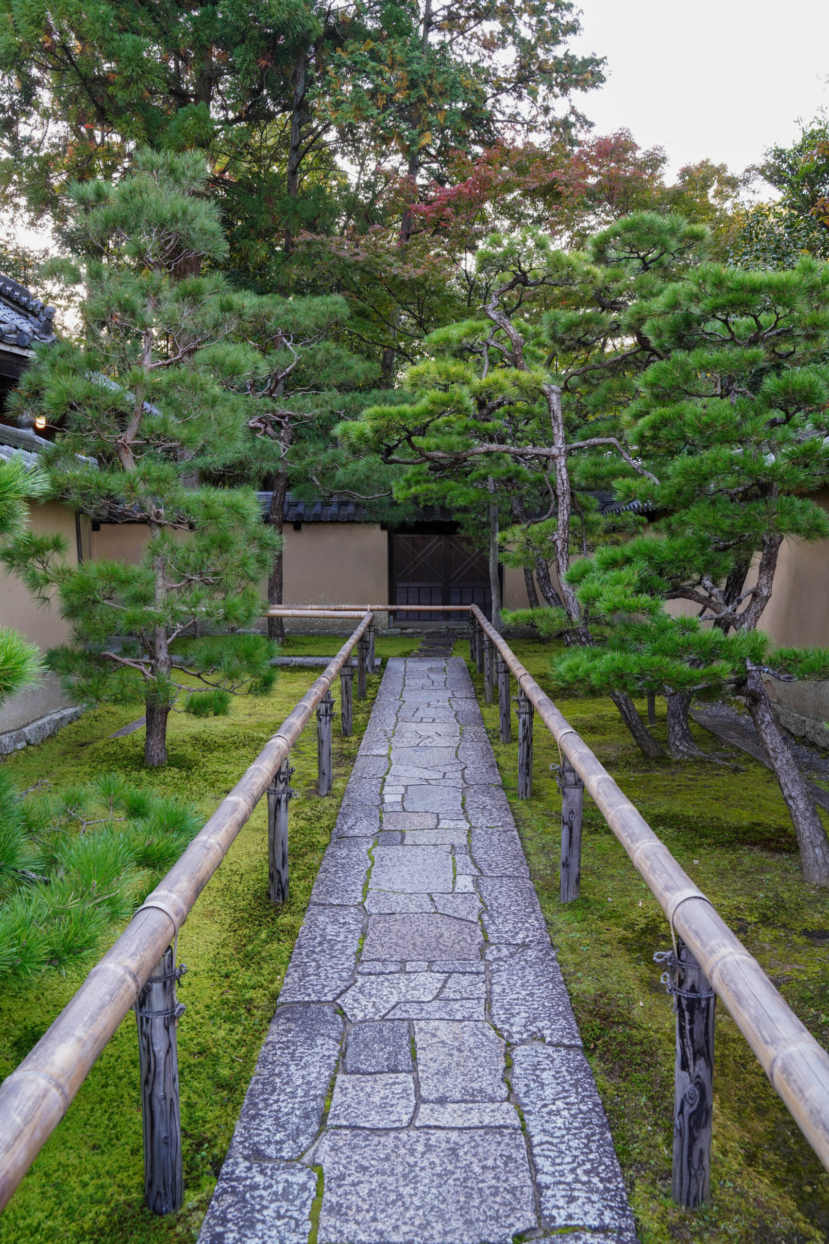 松と石畳が続く和の庭のアプローチ